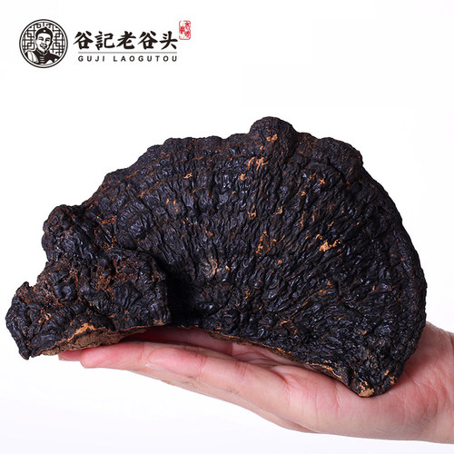 老谷头 黑灵芝250克长白山户外生长林芝整枝肉灵芝 - 图0