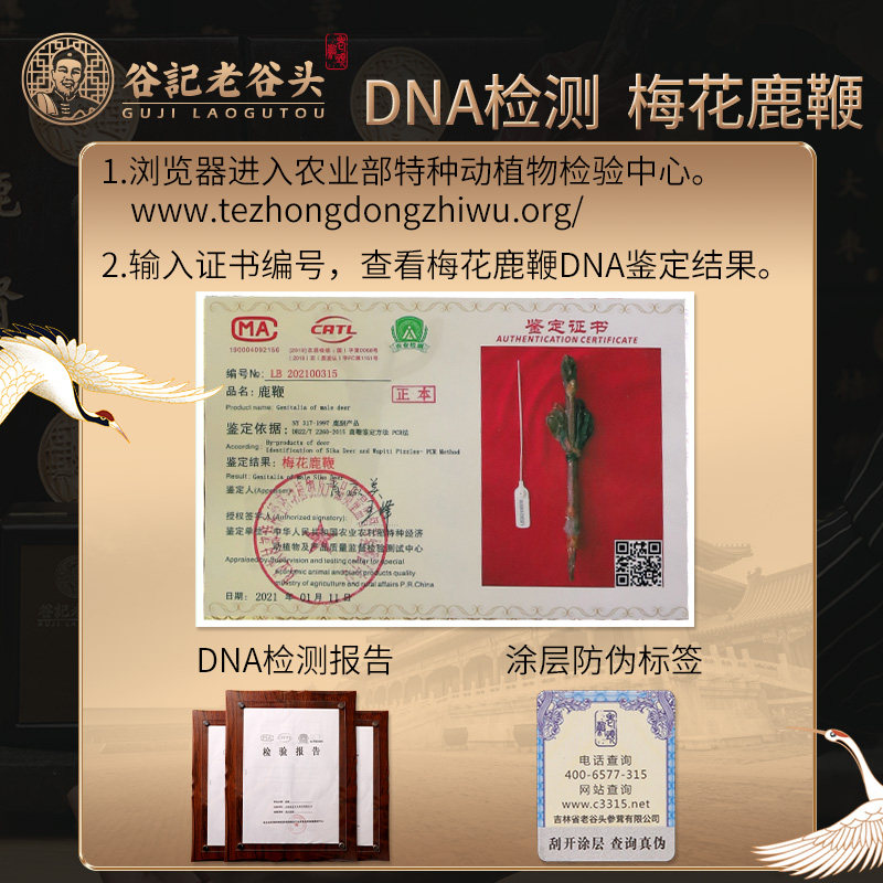 老谷头吉林礼盒装男性补品梅花鹿鞭 老谷头鹿制膏/鹿制品