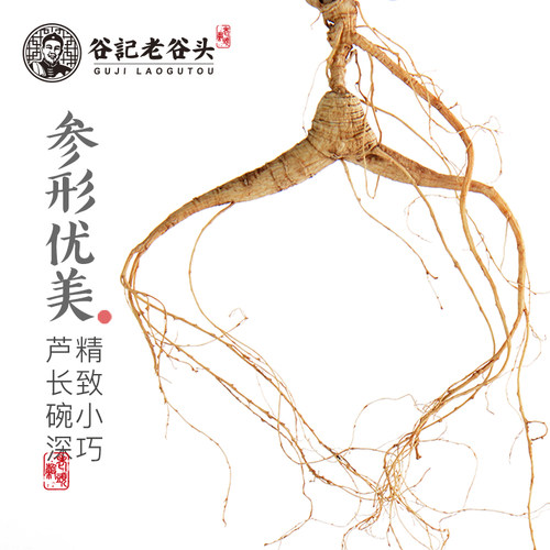 老谷头人参 山参量贩礼盒 吉林长白山林下参吉林东北特产 - 图1