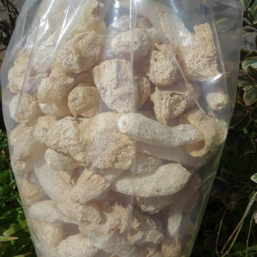 竹荪竹笙天然无硫熏菇蕾农家自产干货特产直销1斤肉厚蘑菇菌 - 图3