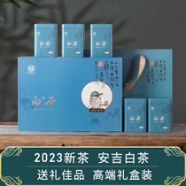 Angi White Tea 2023 New Tea Boutique Green Tea Bright Front Rain Front Authentic Class Tea Gifts 250g Gift Boxes