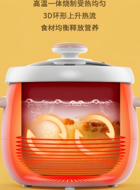 家用天际陶瓷煲汤煮粥全自动炖锅