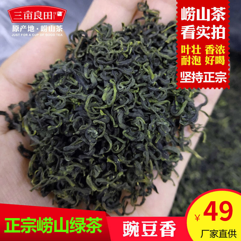 崂山绿茶2023春茶山东散装云雾茶叶非日照茶袋装250g青岛特产