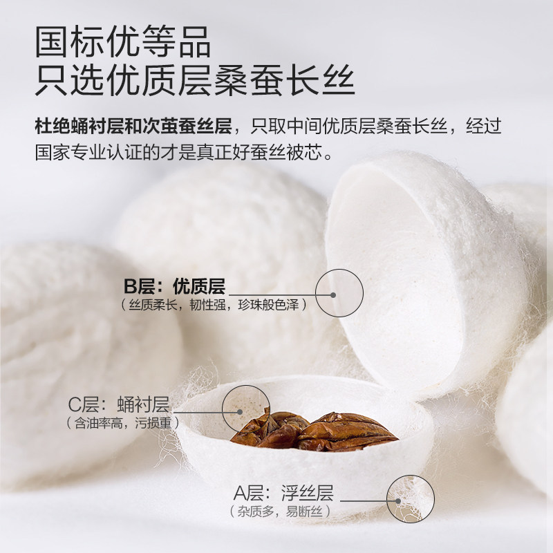太湖雪100%桑蚕长丝抗菌1+蚕丝被 太湖雪蚕丝被
