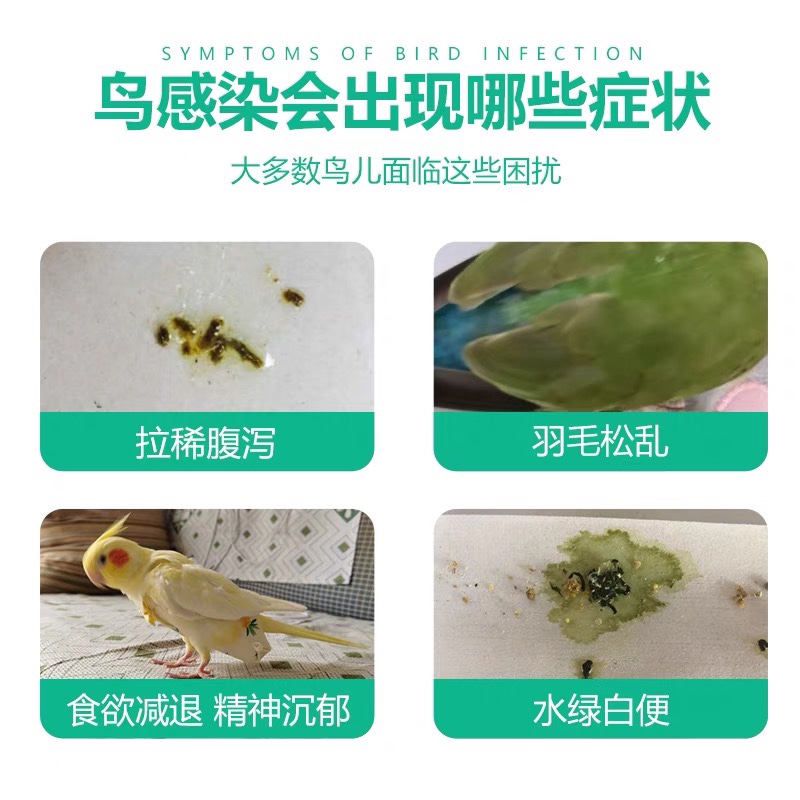 心连心鹦鹉药肠宁拉稀绿便肠炎水便肠道病毒-北京可闪送当日达 - 图0