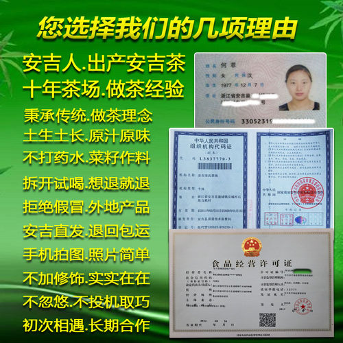 现货2026新茶叶安吉特产白茶250克明前春茶安吉白罐口粮宗散装 - 图0