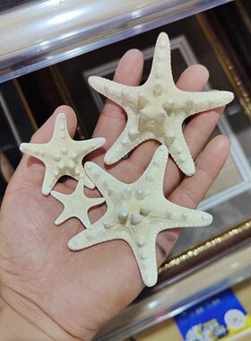 白色迷你松弛感面包大海星装饰品