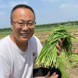 Shandong Small Fine -Leaf Seeds Seeds Четыре сезона весеннего балкона балконы горшечный горшок многолетний аромат может оставить растительные семена