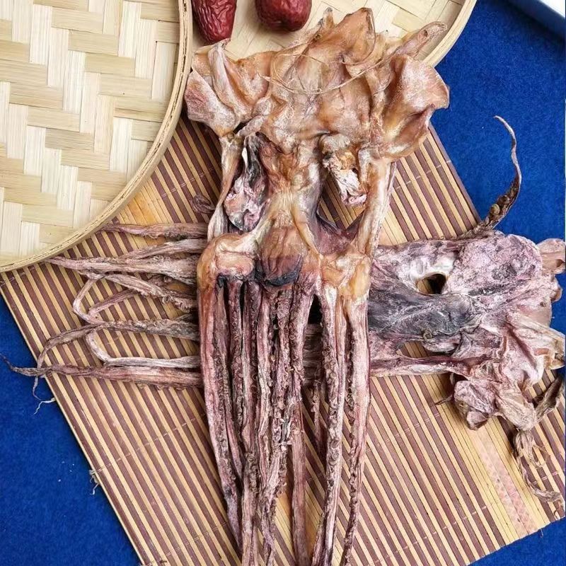 Dried squid head Newly dried squid head