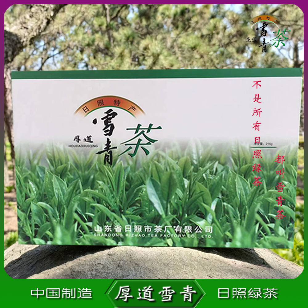 日照绿茶2024春茶叶露天雨前头采新茶绿色无公害特级日初雪青茶芽 - 图2