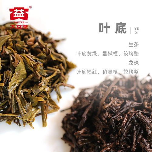 大益普洱茶花好月圆普洱生茶200g+普洱熟茶56g 茶叶送礼官方正品 - 图2