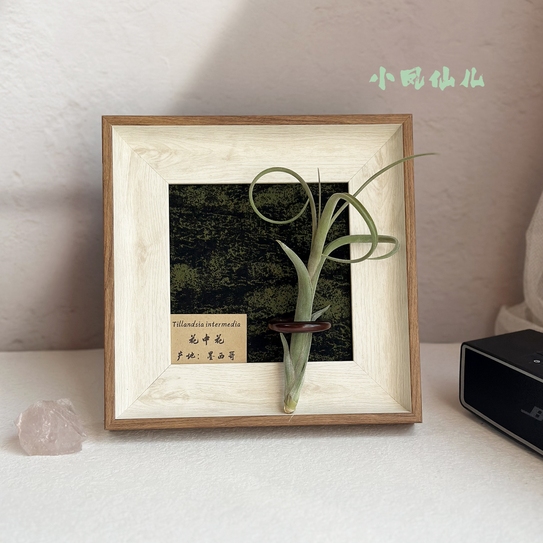 ins空气凤梨套餐懒人磁吸现代装饰画框复古桌面墙上白木色相框5寸,淘宝优惠券,粉丝福利购,淘宝优惠卷