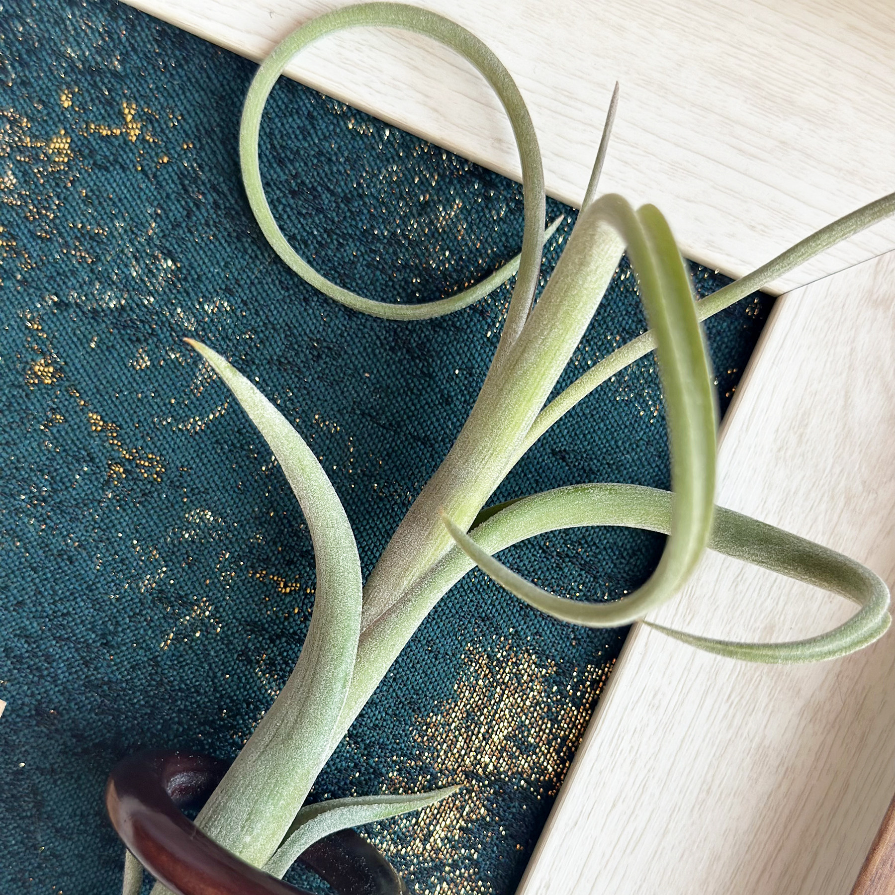 ins空气凤梨套餐懒人现代装饰画框复古桌面室内墙上白木色相框5寸,淘宝优惠券,粉丝福利购,淘宝优惠卷