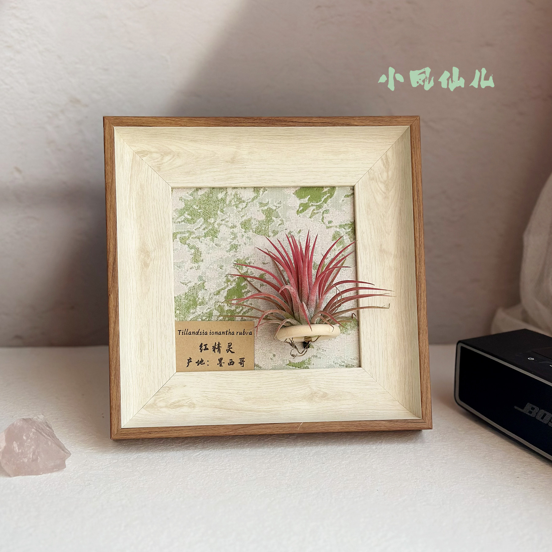 ins空气凤梨套餐懒人磁吸现代装饰画框复古桌面墙上白木色相框5寸,淘宝优惠券,粉丝福利购,淘宝优惠卷