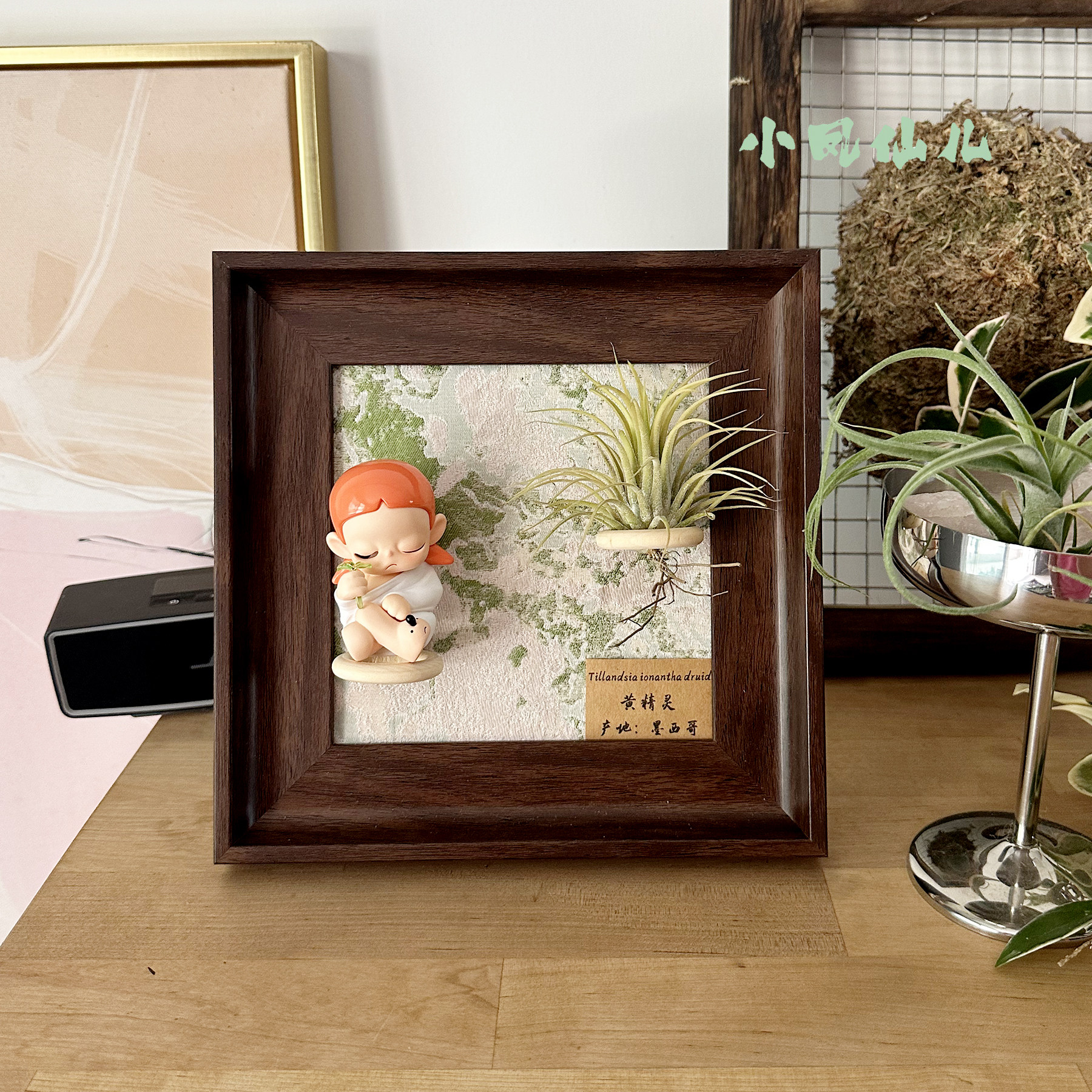 小凤仙儿空气凤梨磁吸装饰画框复古桌面墙上深棕色相框6寸送礼,淘宝优惠券,粉丝福利购,淘宝优惠卷