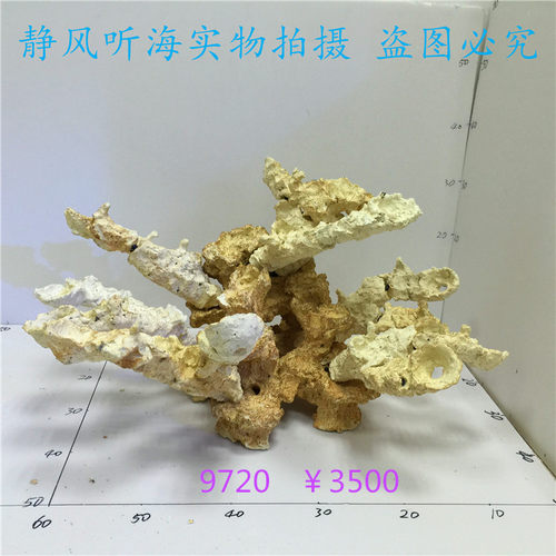 P牌法国培菌生态造景石9710 9720免暴藻送sps货缸原水含海量菌种 - 图1