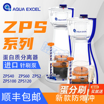 AE Egg with built-in protein separator Sea water cylinder ZPS chemical nitrogen instrumental ZPS40 60100120 explosion-proof punch