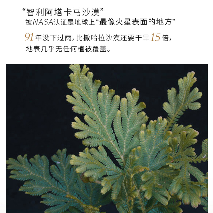 cemoy 倍锁水修复去黄抗敏 460 首发 澳洲 超级复活面霜白金流明补水 cemoy 倍锁水修复去黄抗敏 460 首发 澳洲 超级复活面霜白金流明补水