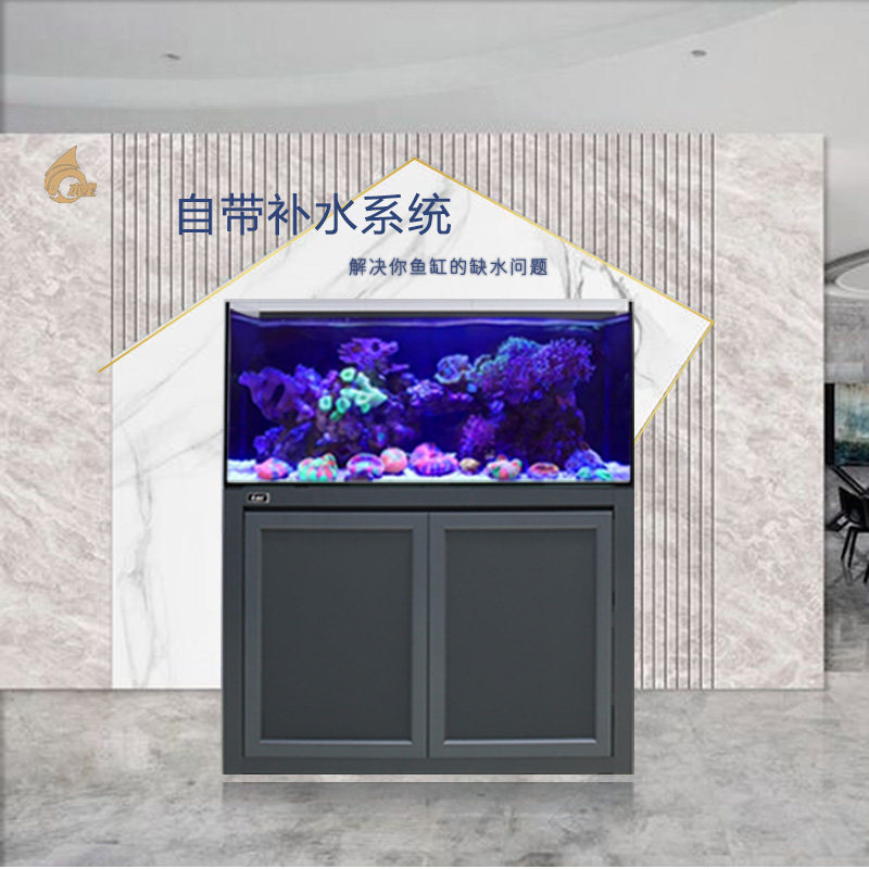 水星背部带补水双出水海水缸底滤缸珊瑚缸焦岩水族箱办公室家用,淘宝优惠券,粉丝福利购,淘宝优惠卷