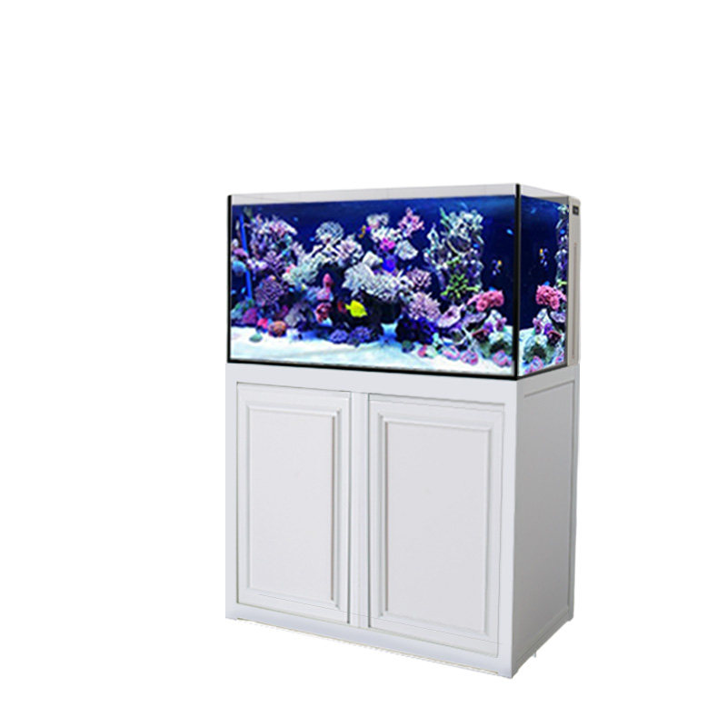 水星背部带补水双出水海水缸底滤缸珊瑚缸焦岩水族箱办公室家用,淘宝优惠券,粉丝福利购,淘宝优惠卷