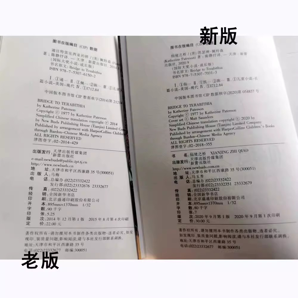 通往特雷比西亚的桥 国 际大奖小说 9-12-14-15岁少儿童小学生课外阅读书籍校园成长小说青少年三四五六年级仙境之桥