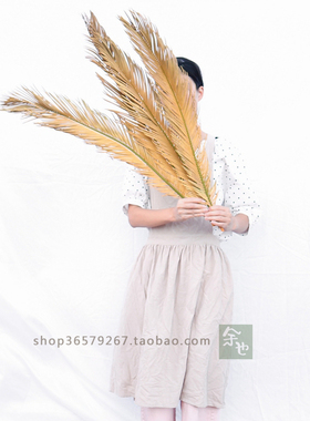 棕榈树苏铁婚礼花材散尾葵叶