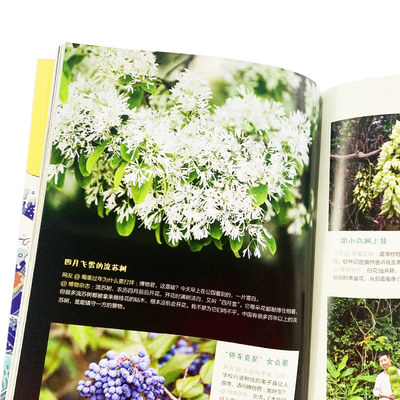 正版包邮博物君式科普杂志期刊书籍年专辑中国国家地理出品博物君大百科普人文地理博物少年版动物世界日记博物君事氏科普书 虎窝淘