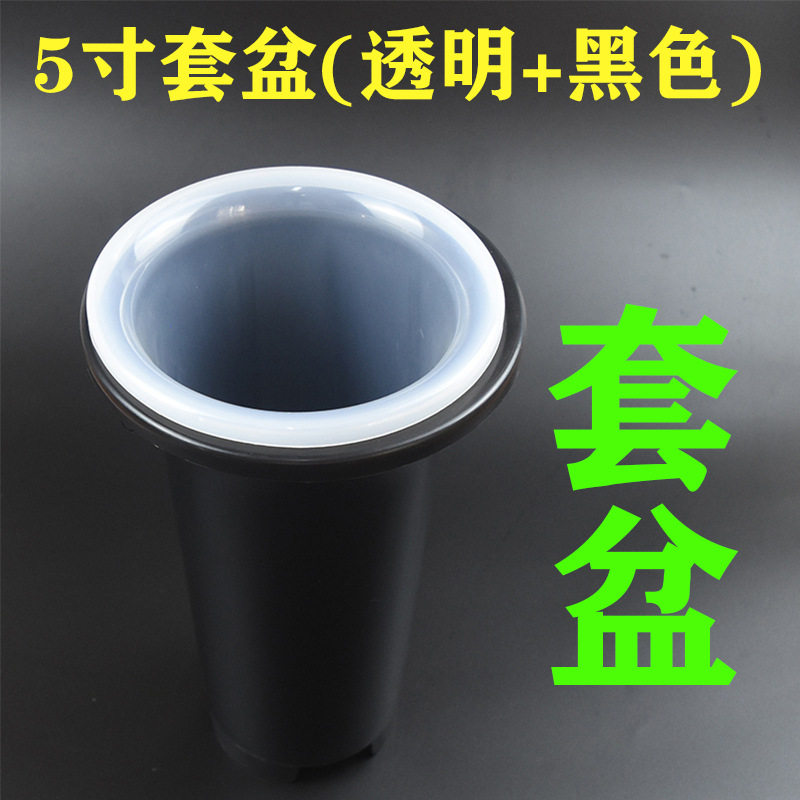 兰花盆套盆塑料兰花花盆加厚加高兰草盆透明盆兰花专用花盆养兰盆,淘宝优惠券,粉丝福利购,淘宝优惠卷