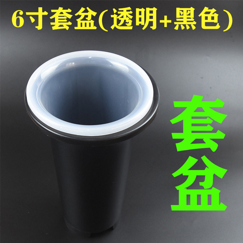 兰花盆套盆塑料兰花花盆加厚加高兰草盆透明盆兰花专用花盆养兰盆,淘宝优惠券,粉丝福利购,淘宝优惠卷