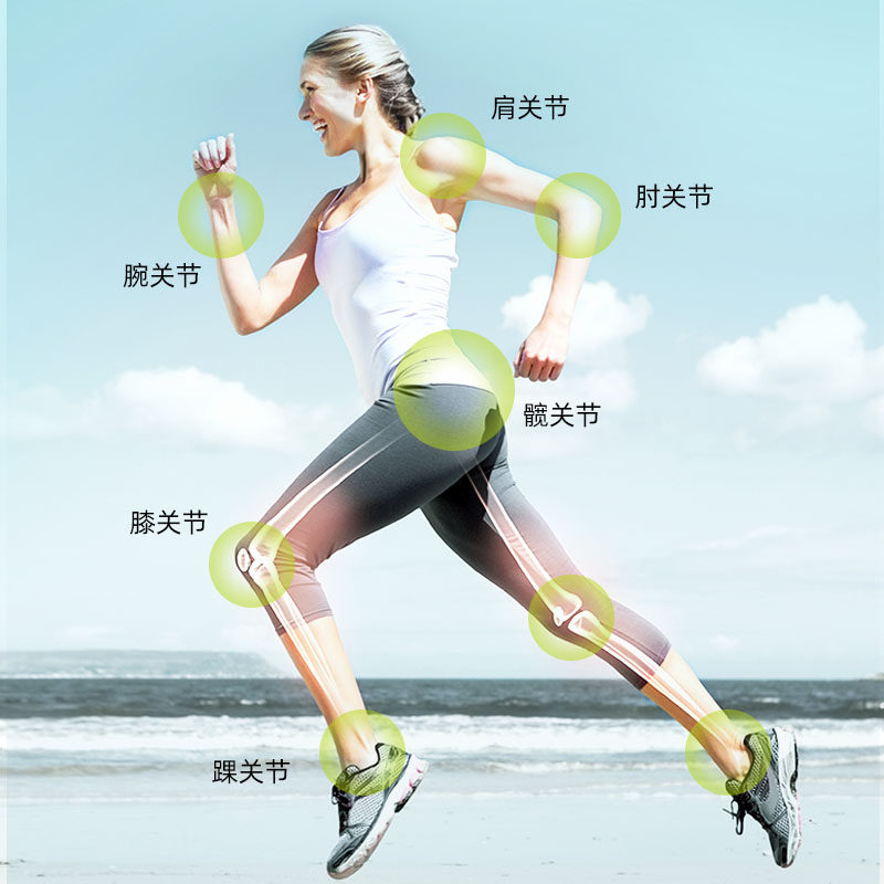 禾博士软骨素成人中老年人葡萄糖 沁海保健食品氨糖软骨素/骨胶原