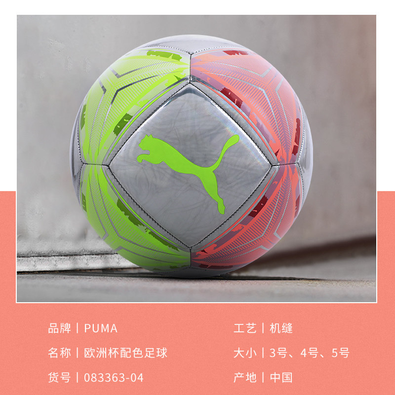 puma 5号欧洲杯4号男成人儿童足球 极地运动足球