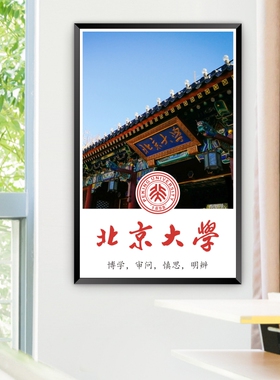 少年立志目标名校班级布置海报