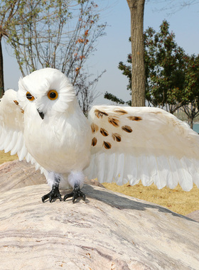 仿真猫头鹰摆件真羽毛模型