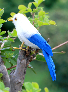 仿真小鸟摆件真羽毛模型