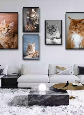 缅因猫装饰画可爱猫咪萌宠动物赛级猫挂画猫舍宠物店吧台直播壁画