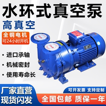 2BV series water ring vacuum pump Industrial high vacuum water cycle vacuum pump compressor