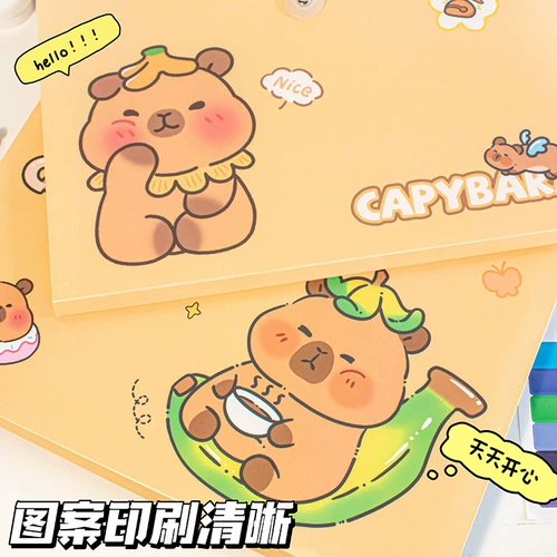 А4 папка много -слойная ученика с прозрачными страницами и милыми тестовыми документами для организации артефактов студенческих школьных книж