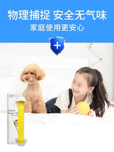 小飞虫诱捕器除卫生间飞蛾EXPEST捕捉苍蝇室内家用粘蝇纸蛾蚋星 - 图0