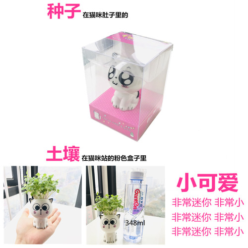 幼儿园儿童物种植小草小猫盆栽种子发芽草头娃娃种草头上长草娃娃 - 图0