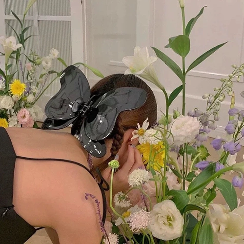 Super Big Butterfly поймала CC Song Song Yanxuan's Head, Книга Xioxiaohong, та же самая зеленая бабочка