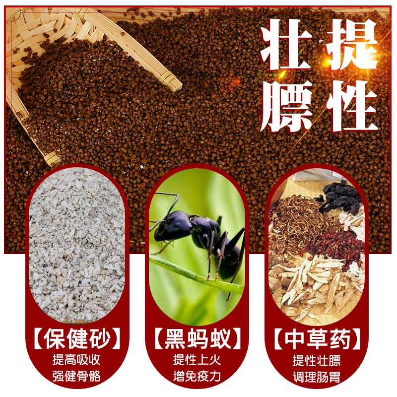 雷公山画眉鸟食饲料提性壮膘稳笼料手工唱鸟斗鸟画眉鸟粮饲料包邮 - 图2