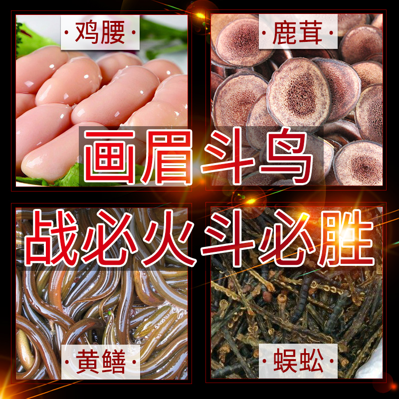 雷公山画眉鸟食饲料提性壮膘稳笼料手工唱鸟斗鸟画眉鸟粮饲料包邮 - 图0