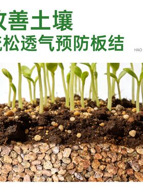 黄金软质麦饭石多肉营养土