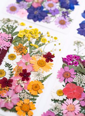 真花压花滴胶书签材料包