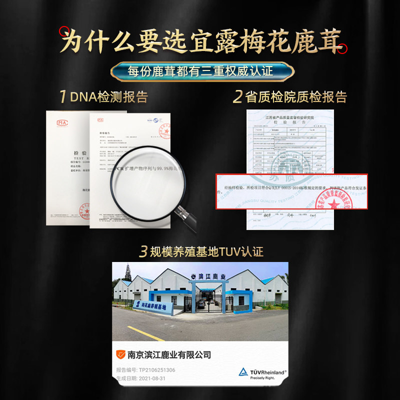  宜露滋补养生鹿茸枝