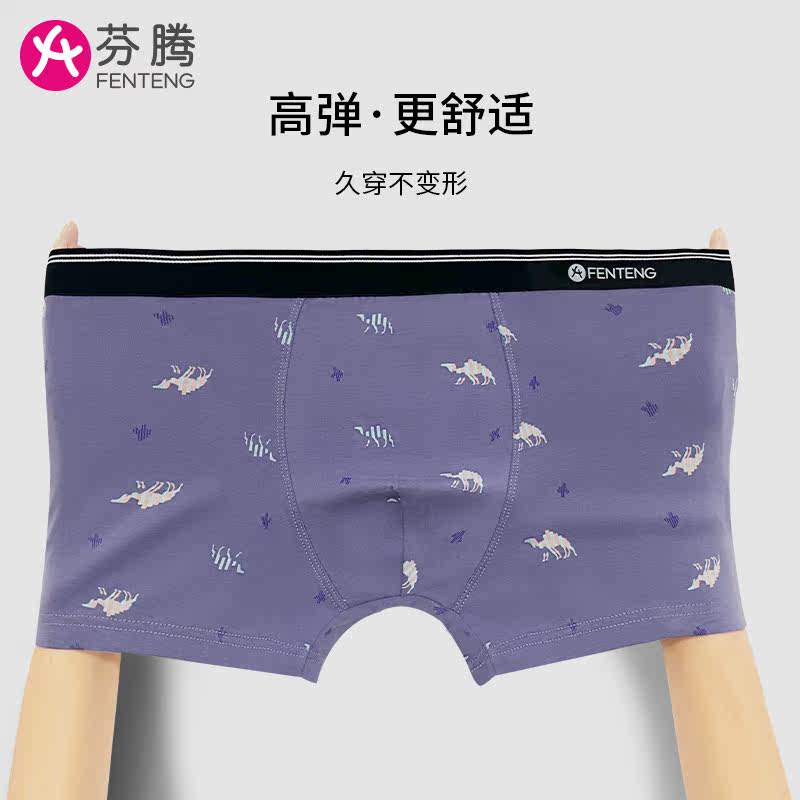 芬腾男士平角纯棉男生夏季四角裤 美梦莎服饰男平角内裤