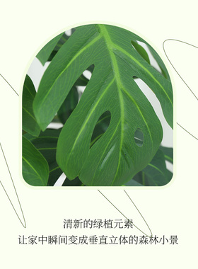 仿真居家广州龟背带盆送花蓝