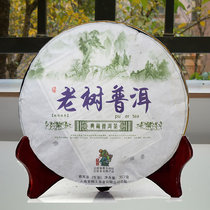 2015 Yunnan Menghai Tea Tree Kings Old Tree Puer Tea raw tea Chen Heung-chan Seven Pizza Tea the more Chen Yues incense 377g