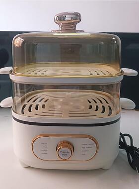 出口220V110V伏电蒸锅多功能蒸汽锅电蒸笼电蒸箱Electric Steamer