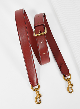 适用Coach朱丽叶25内胆包肩带